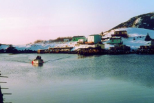 509: Red Island harbour looking southeast. (circa 2000) [courtesy of Madonna (Bishop) Mulrooney]